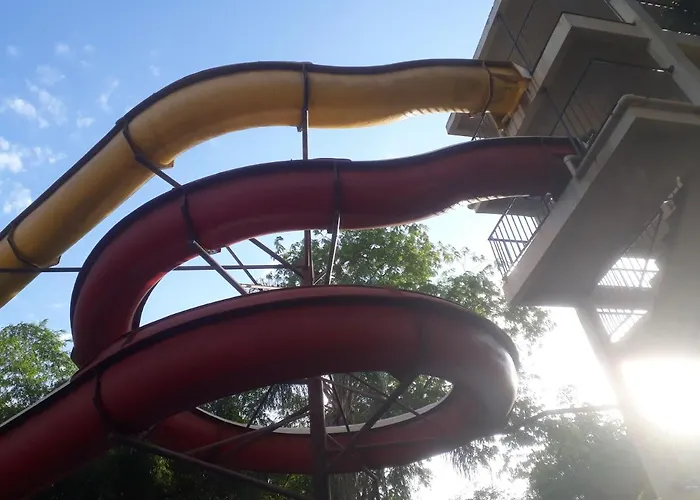 Golden Dolphin Express Md